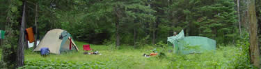 two tents set up at a campsite clearing surrounded by trees